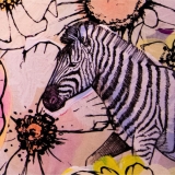 CD - Maroon 5 : Jordi / Deluxe