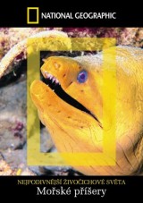 DVD Film - Mořské příšery