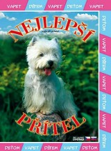 DVD Film - Najlepší priateľ