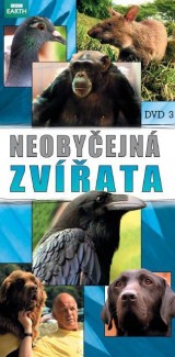 DVD Film - Neobyčajné zvieratá 3 (papierový obal)