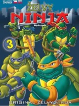 DVD Film - Ninja korytnačky 3