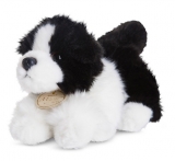 Hračka - Plyšová kólia - Miyoni (20 cm)