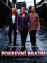 DVD Film - Pokrvní bratia