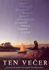 DVD Film - Ten večer