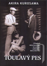 DVD Film - Túlavý pes