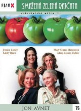 DVD Film - Vyprážané zelené paradajky (FilmX)