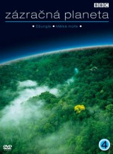 DVD Film - Zázračná planéta 4 - Džungle, Mělké moria