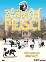 DVD Film - Zázračné psíky