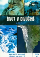DVD Film - Život v divočine: Andy