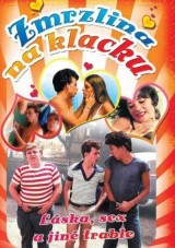 DVD Film - Zmrzlina na klacku 