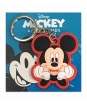 2D kľúčenka - Mickey Mouse (hlava) - Disney - 5 cm