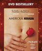 Americká krása - DVD Bestsellery