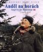 Anděl na horách