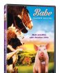 Babe: Galantní prasátko