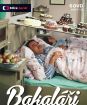 Bakaláři (12 DVD)