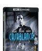 Casablanca (UHD)
