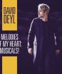 Deyl David : Melodies Of My Heart: Musicals!