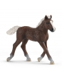 Figúrka žriebätko schwarzwaldské - Schleich - 9,5 cm