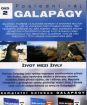 Galapágy 2. - Život medzi živlami