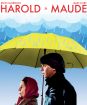 Harold a Maude
