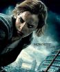 Harry Potter a Dary smrti - 1.časť (2 DVD)