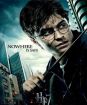 Harry Potter a Dary smrti - 2.časť (SK/CZ dabing 2 DVD) edícia s odznakmi
