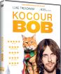 Kocúr Bob