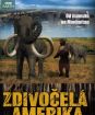 Kolekcia: BBC edícia: Zdivočená Amerika (2 DVD)