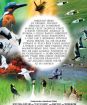 Krídla prírody  1.časť (papierový obal)