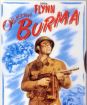 Operace Burma