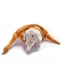 Plyšový had so slonom - Malý Princ - 60 cm