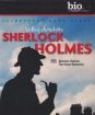 Sherlock Holmes: Velký detektiv (pap. box) FE