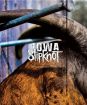 SLIPKNOT - IOWA SPECIAL EDITION 2CD+DVD