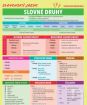 Slovenský jazyk - Slovné druhy