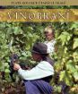 Vinobraní