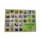 Hračka - Pexeso les fotografie