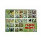 Hračka - Pexeso mláďatá fotografie