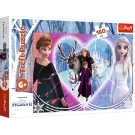 Hračka - Puzzle 160 Frozen 2
