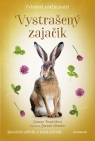 Kniha - Zvierací záchranári - Vystrašený zajačik