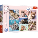 Hračka - Puzzle 100 Mačací svet