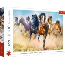 Hračka - Puzzle 2000 Cválajúce kone