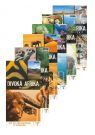 DVD Film - DVD sada: Divoká Afrika (6 DVD) - papierový obal