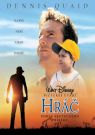 DVD Film - Hráč 2002 (Bluray)