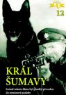 DVD Film - Král Šumavy
