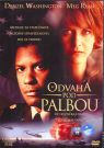 DVD Film - Odvaha pod palbou 