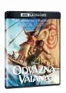 BLU-RAY Film - Odvážná Vaiana - 2026 - 2BD (UHD+BD)