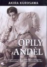 DVD Film - Opitý anjel