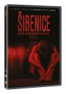 DVD Film - Šibenica