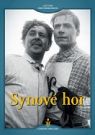 DVD Film - Synové hor (digipack)