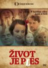 DVD Film - Život je ples (8 DVD)